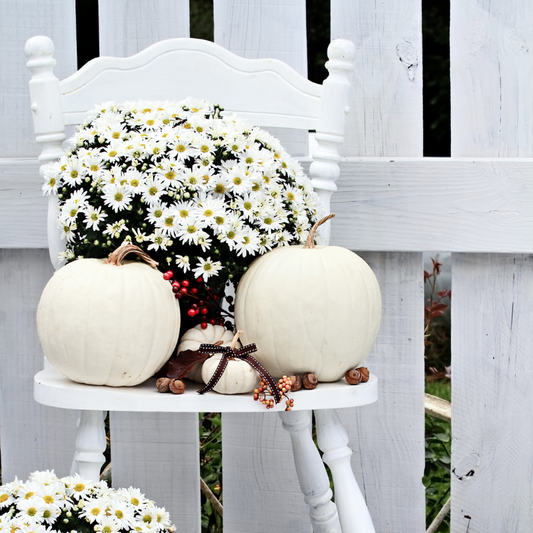 Pumpkin Floral Arrangements