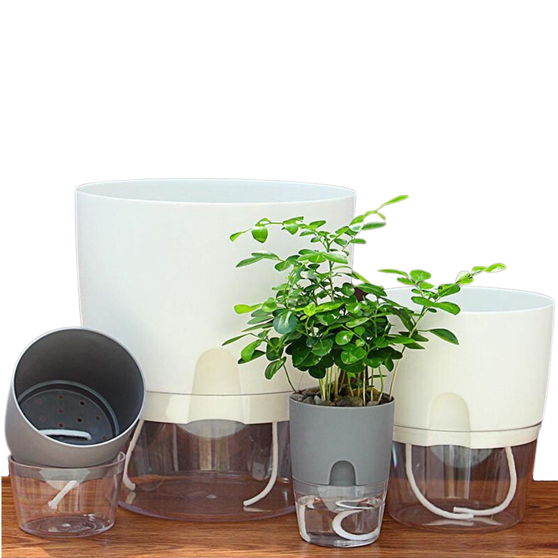 Semi Hydroponic Pots - Grey