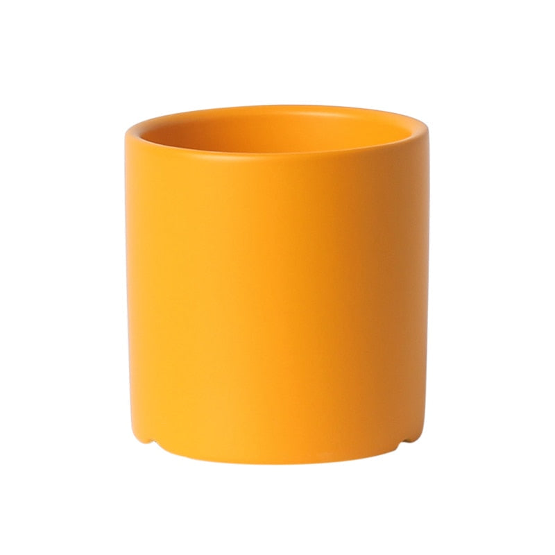 This Simple Ceramic Planter - 5.5" from Earth to Daisy is perfect for the modern plant mom in her indoor jungle! #plantsmakepeoplehappy