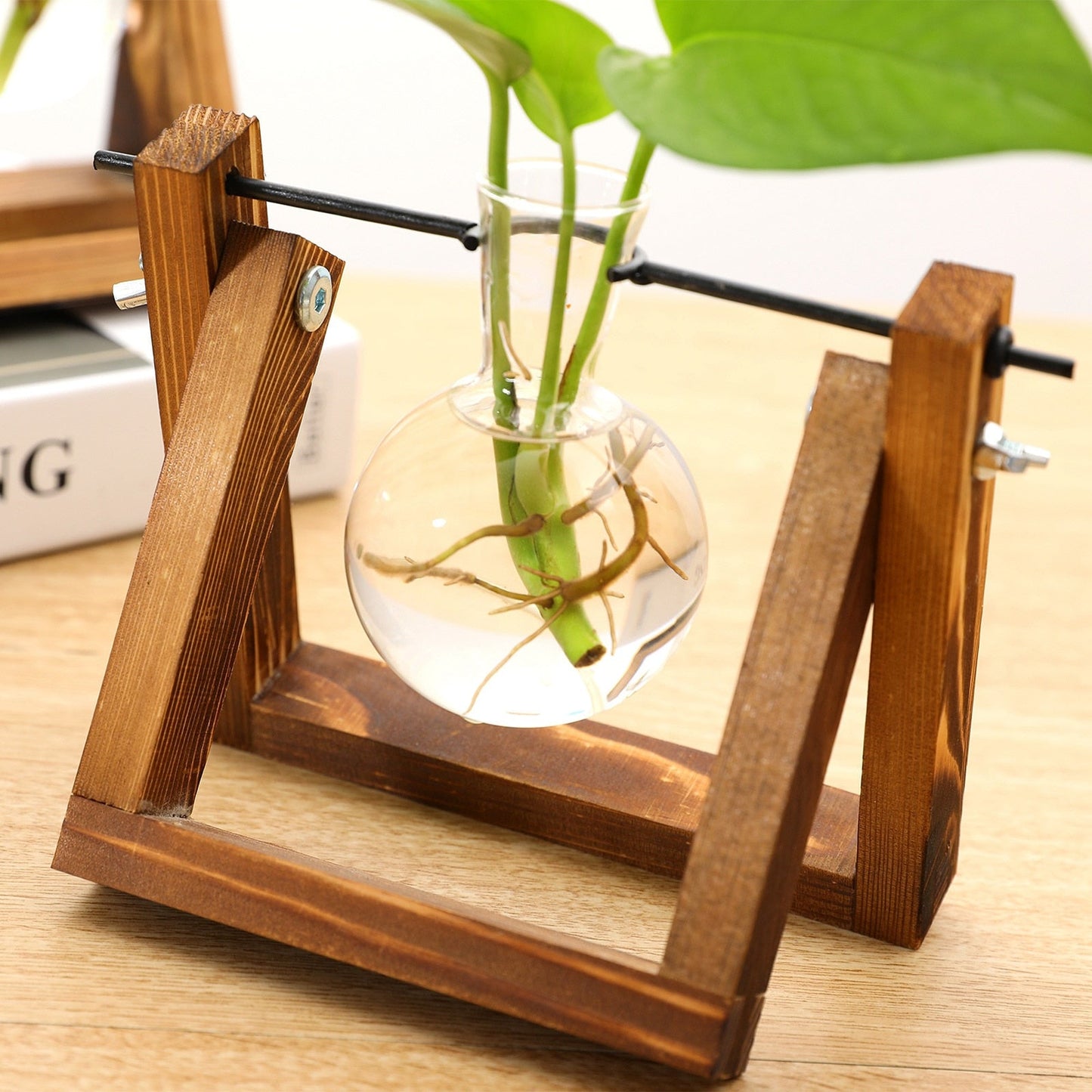 This Propagation Station from Earth to Daisy is perfect for the modern plant mom in her indoor jungle! #plantsmakepeoplehappy