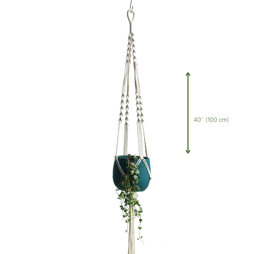 This Macrame Plant Hanger - E from Earth to Daisy is perfect for the modern plant mom in her indoor jungle! #plantsmakepeoplehappy