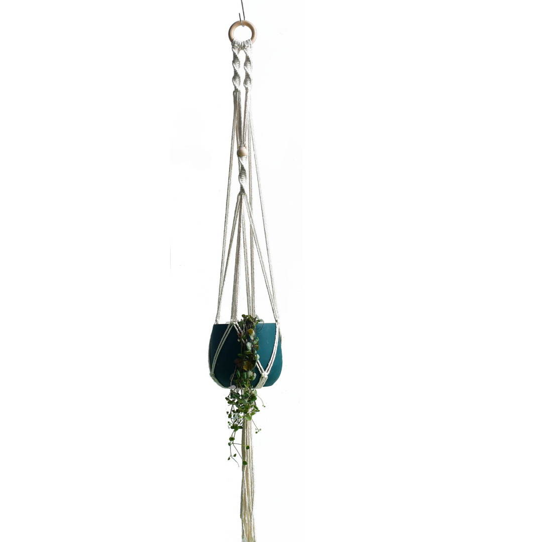 This Macrame Plant Hanger - F from Earth to Daisy is perfect for the modern plant mom in her indoor jungle! #plantsmakepeoplehappy