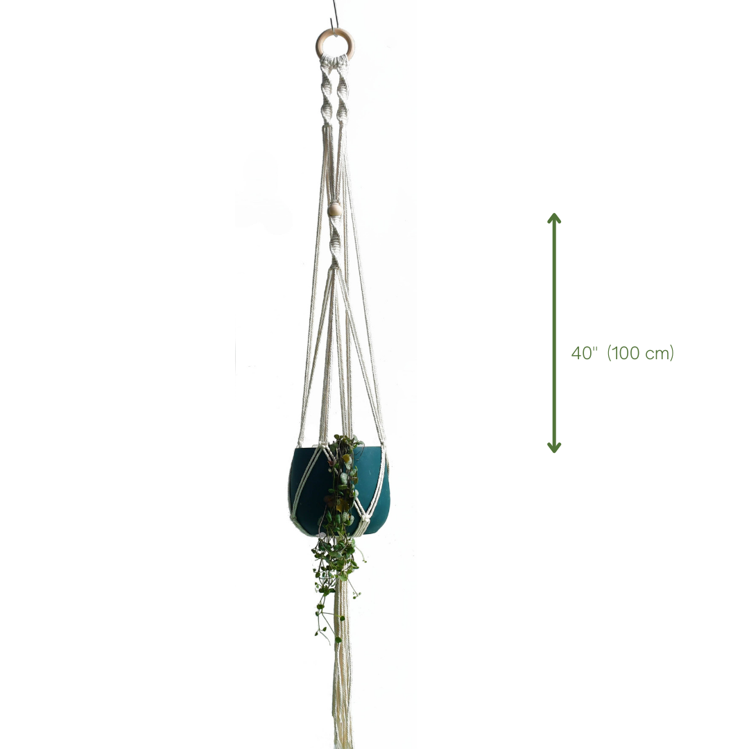 This Macrame Plant Hanger - F from Earth to Daisy is perfect for the modern plant mom in her indoor jungle! #plantsmakepeoplehappy