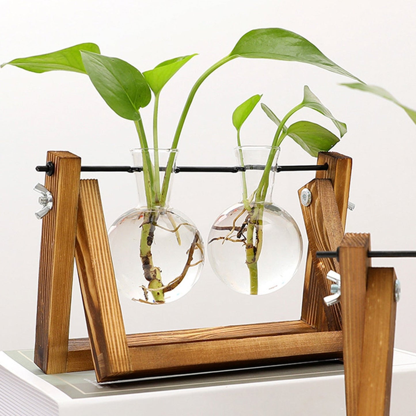 This Propagation Station from Earth to Daisy is perfect for the modern plant mom in her indoor jungle! #plantsmakepeoplehappy