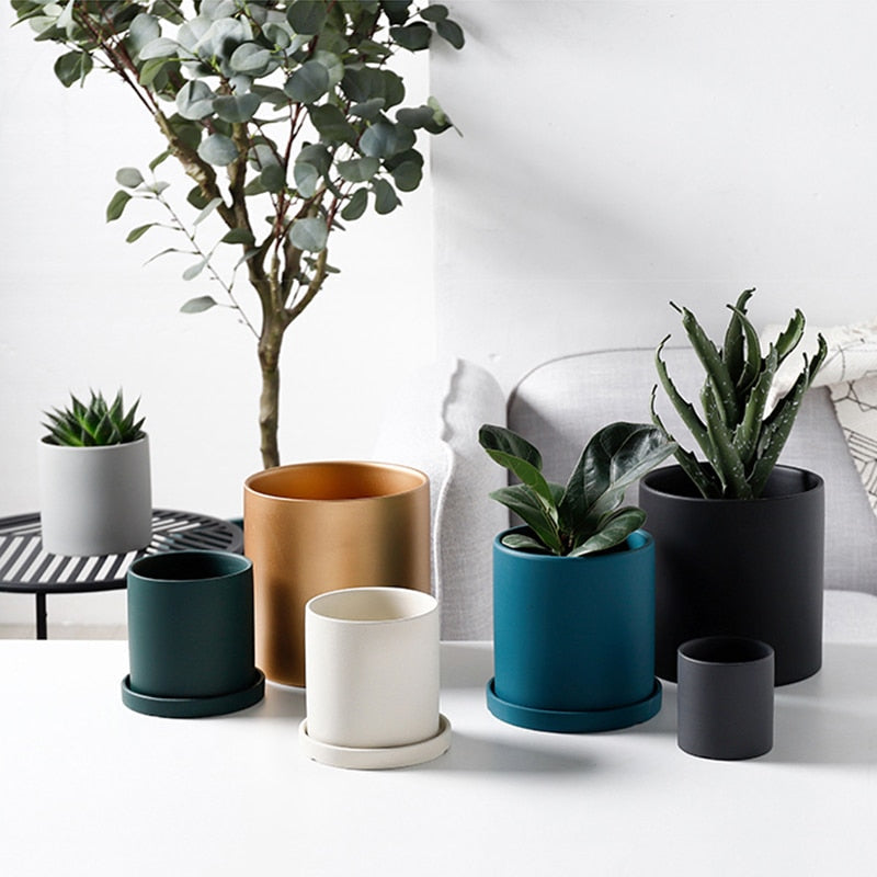 This Simple Ceramic Planter - 5.5" from Earth to Daisy is perfect for the modern plant mom in her indoor jungle! #plantsmakepeoplehappy