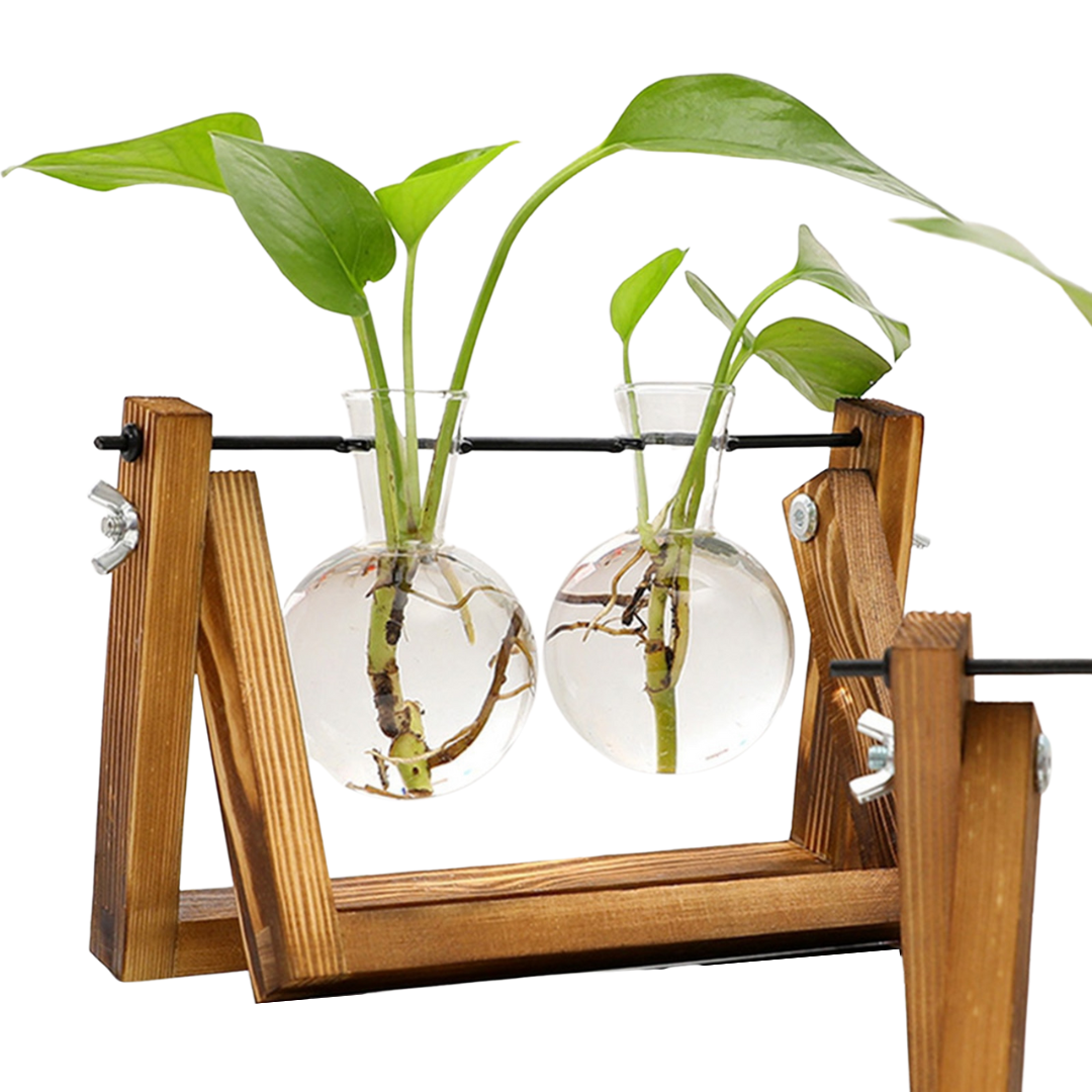 This Propagation Station from Earth to Daisy is perfect for the modern plant mom in her indoor jungle! #plantsmakepeoplehappy