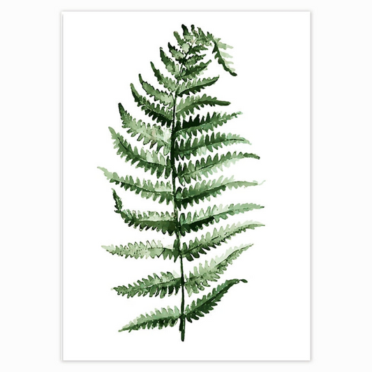 Fern Filler | Frame Series