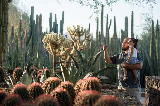 Desert Botanical Gardens