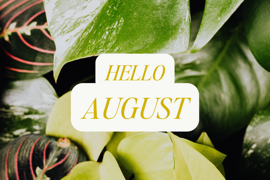 Hello August