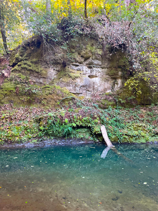 the december pond by earth to daisy quote on creek photo. The next ten years will come and go whether you choose to show up for yourself or not