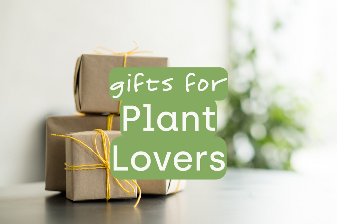 Gift Guide for Plant Lovers