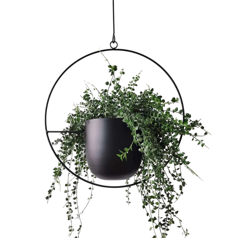A black metal hanging planter.  Hoop shaped!
