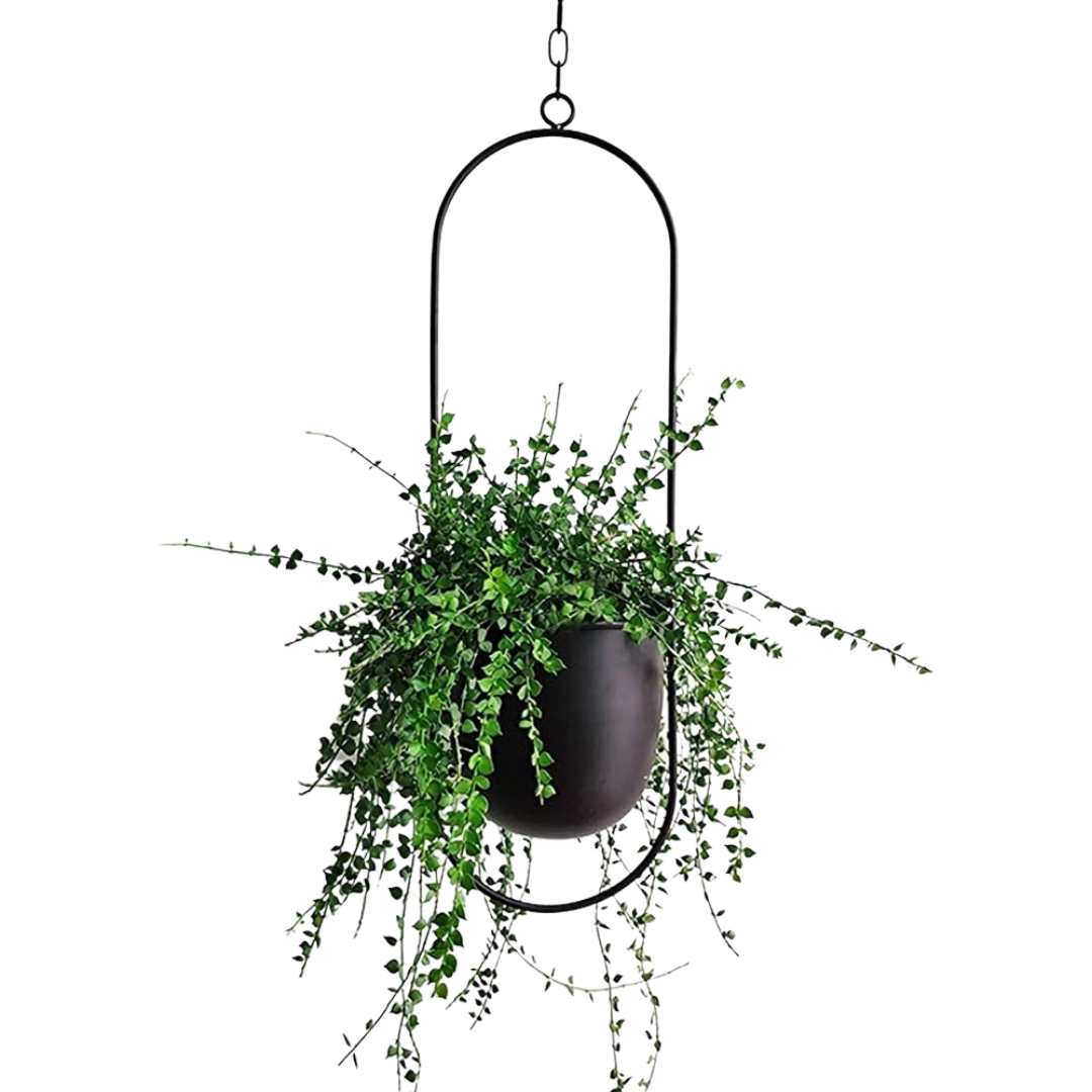 minimal black metal planting hanger, oblong shape with green plant