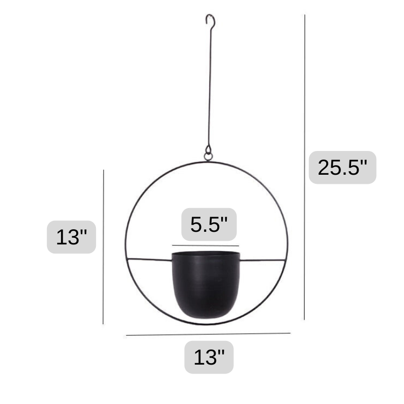 Metal Hanging Plant Stand - Black Hoop