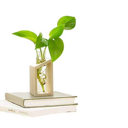 This Modern Propagation Jar from Earth to Daisy on books for natural home decor