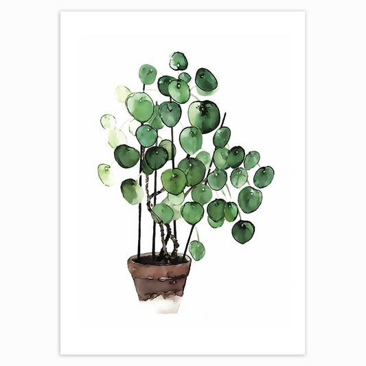 Plant poster collection from Earth to Daisy. Pilea on White.