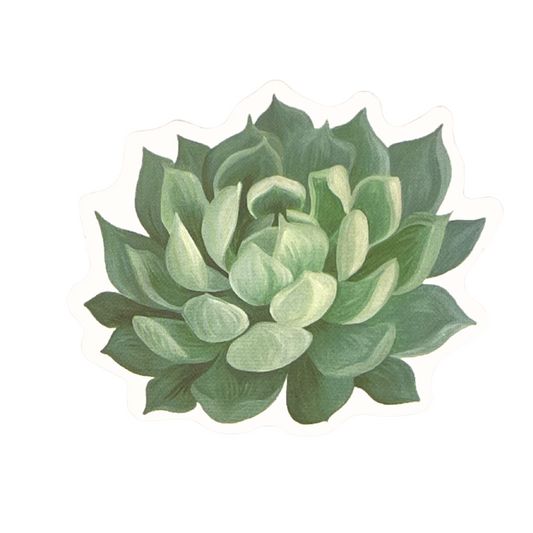 Succulent Sticker | Green