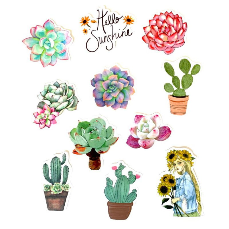 Succulent Stickers - Assorted