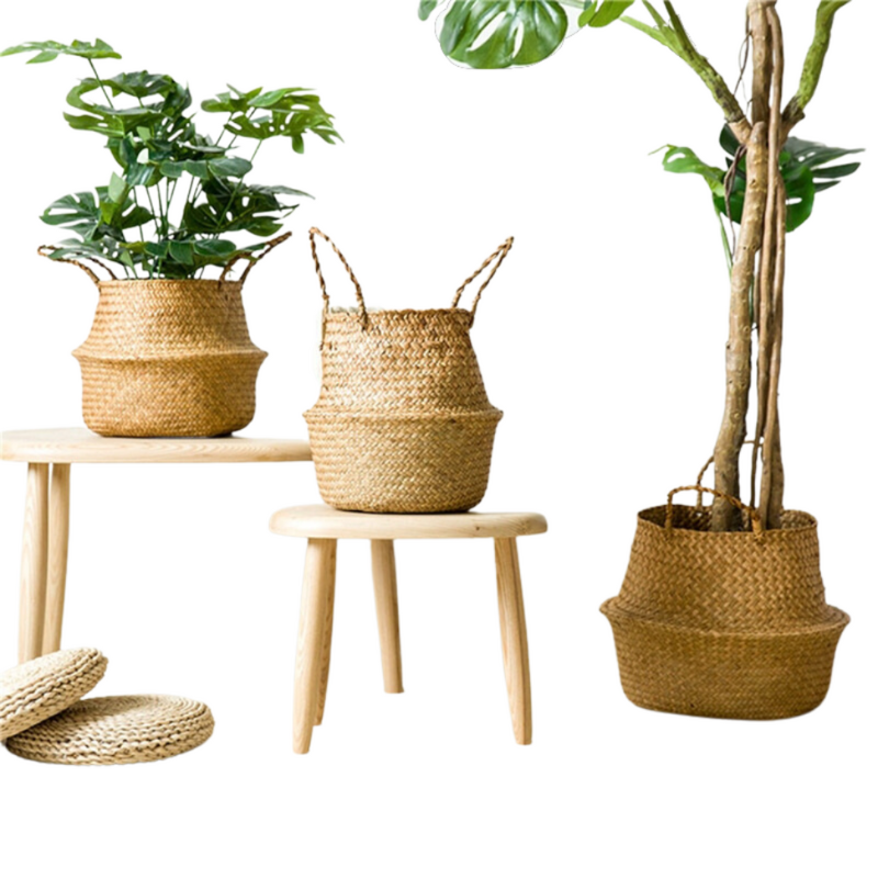 woven basket planters from earth to daisy