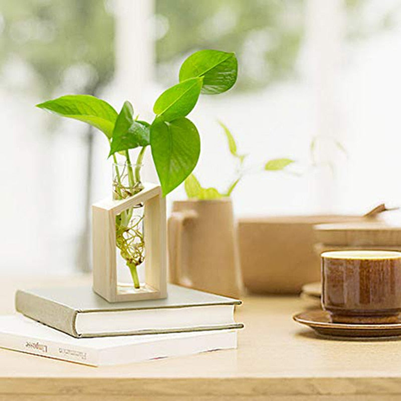 This Modern Propagation Jar from Earth to Daisy is perfect for the modern plant mom in her indoor jungle! #plantsmakepeoplehappy