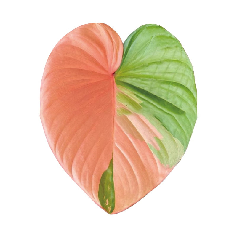 This Foliage Phone Holder | Anthurium from Earth to Daisy is perfect for the modern plant mom in her indoor jungle! #plantsmakepeoplehappy