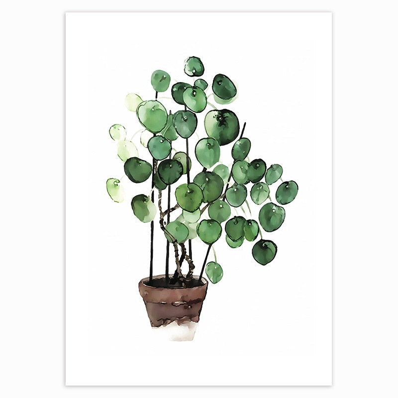 This Foliage Fillers | Money Tree from Earth to Daisy is a poster of a plilea with a white background to go with earthy home decor