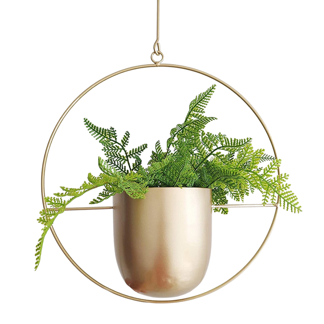 This Gold Hoop Hanging Planter from Earth to Daisy is perfect for the modern plant mom in her indoor jungle! #plantsmakepeoplehappy