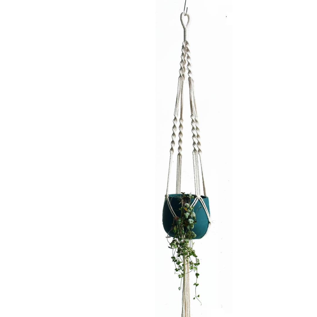 This Macrame Plant Hanger - E from Earth to Daisy is perfect for the modern plant mom in her indoor jungle! #plantsmakepeoplehappy