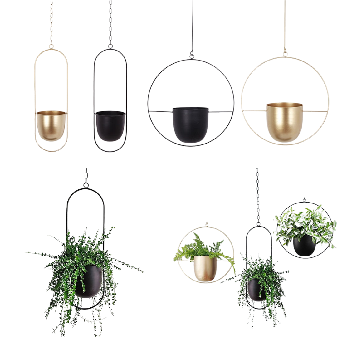This Black Hoop Hanging Planter from Earth to Daisy is perfect for the modern plant mom in her indoor jungle! #plantsmakepeoplehappy
