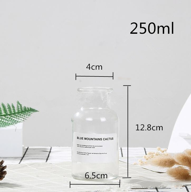 This Clear Glass Vase | Small Glass Vase | Wide Mouth from Earth to Daisy is perfect for the modern plant mom in her indoor jungle! #plantsmakepeoplehappy