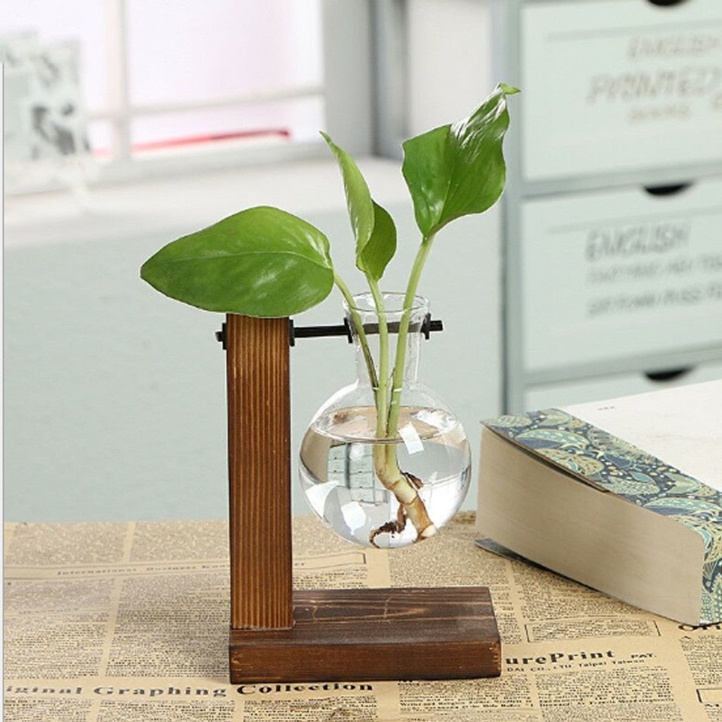 This An Upright Propagation Station from Earth to Daisy is perfect for the modern plant mom in her indoor jungle! #plantsmakepeoplehappy