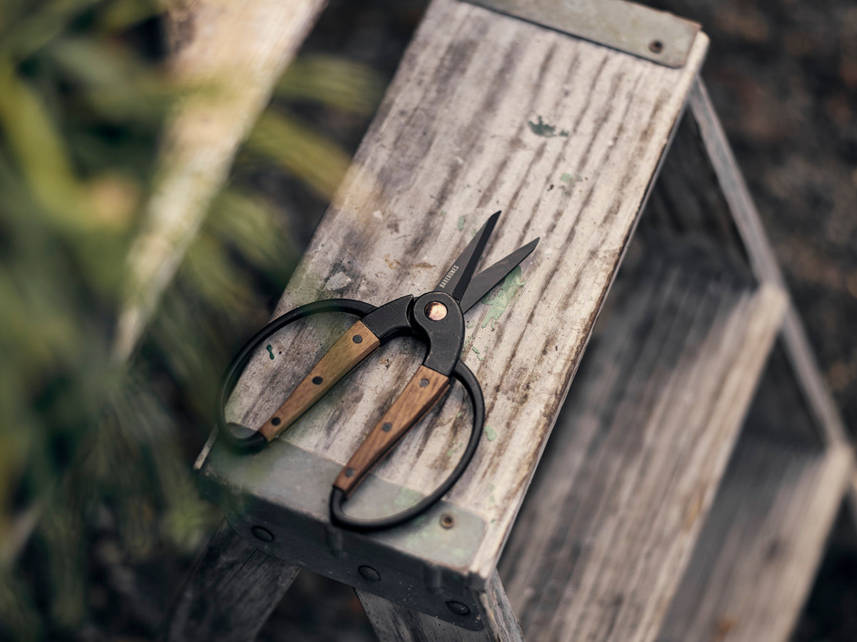 This Garden Scissors, Small by BAREBONES from Earth to Daisy is perfect for the modern plant mom in her indoor jungle! #plantsmakepeoplehappy