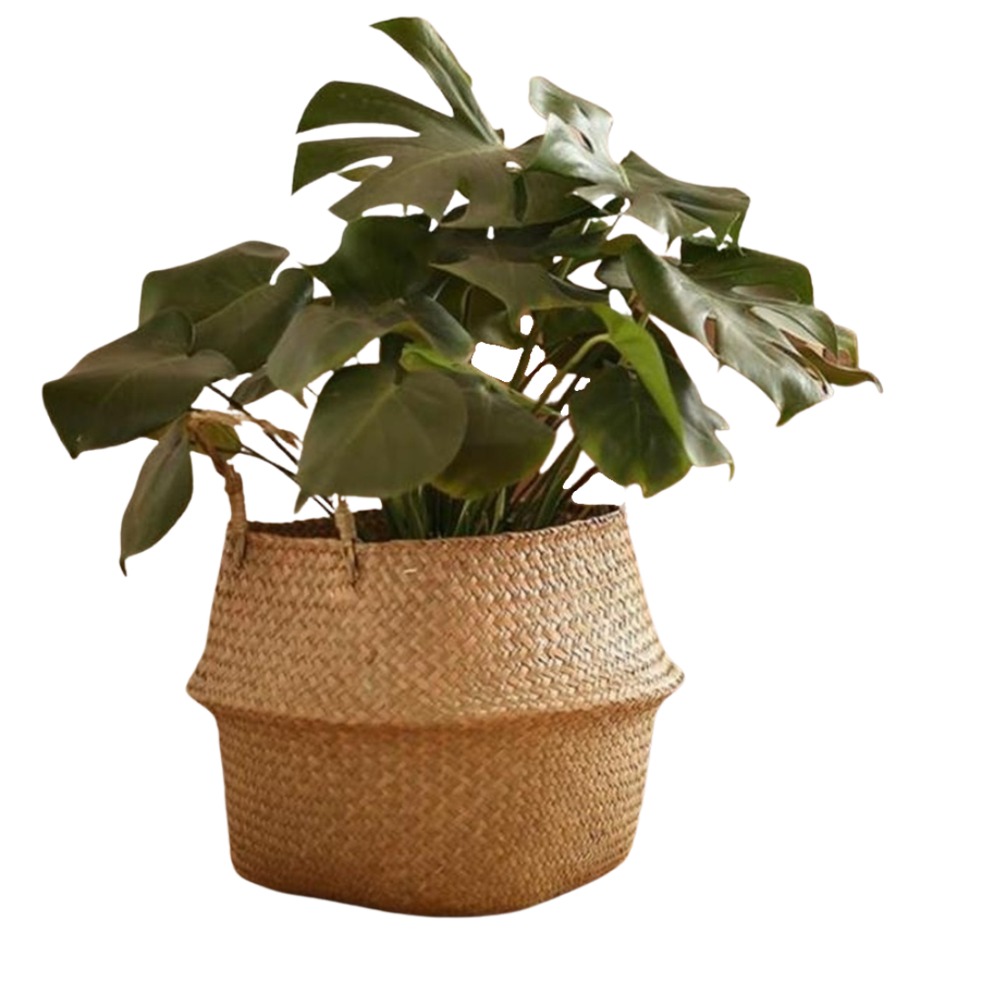 This Amber Rattan Coverpot from Earth to Daisy is perfect for the modern plant mom in her indoor jungle! #plantsmakepeoplehappy