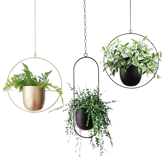 This Gold Hoop Hanging Planter from Earth to Daisy is perfect for the modern plant mom in her indoor jungle! #plantsmakepeoplehappy