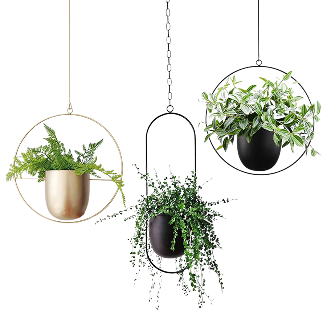 This Black Hoop Hanging Planter from Earth to Daisy is perfect for the modern plant mom in her indoor jungle! #plantsmakepeoplehappy