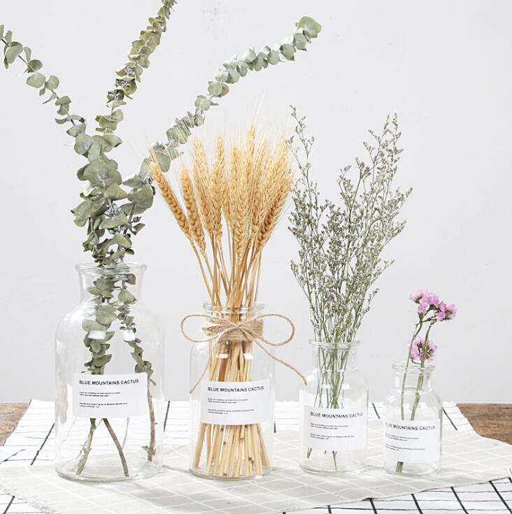 This Clear Glass Vase | Small Glass Vase | Wide Mouth from Earth to Daisy is perfect for the modern plant mom in her indoor jungle! #plantsmakepeoplehappy