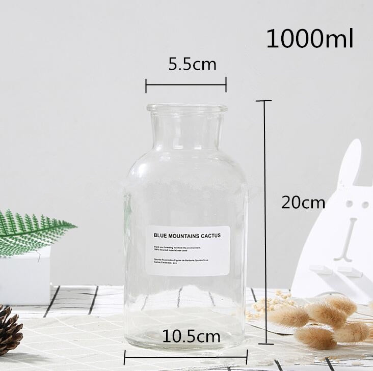 This Clear Glass Vase | Small Glass Vase | Wide Mouth from Earth to Daisy is perfect for the modern plant mom in her indoor jungle! #plantsmakepeoplehappy