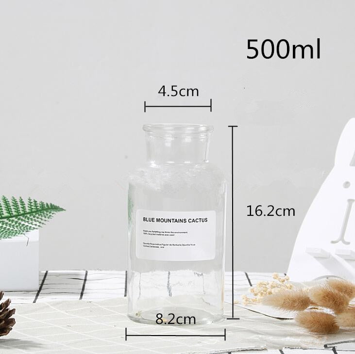 This Clear Glass Vase | Small Glass Vase | Wide Mouth from Earth to Daisy is perfect for the modern plant mom in her indoor jungle! #plantsmakepeoplehappy