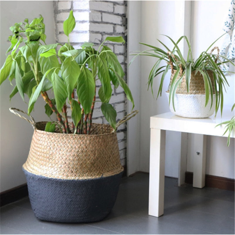 This Rattan Coverpot from Earth to Daisy is perfect for the modern plant mom in her indoor jungle! #plantsmakepeoplehappy
