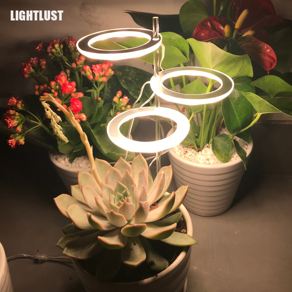 This Plant Angel Ring Lights from Earth to Daisy is perfect for the modern plant mom in her indoor jungle! #plantsmakepeoplehappy