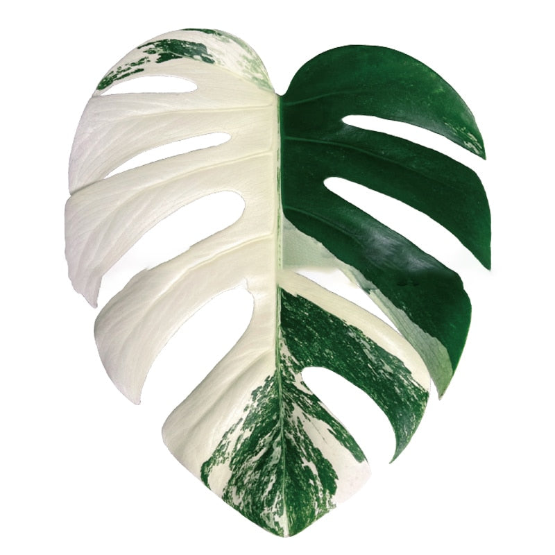 This Foliage Phone Holder | Monstera from Earth to Daisy is perfect for the modern plant mom in her indoor jungle! #plantsmakepeoplehappy