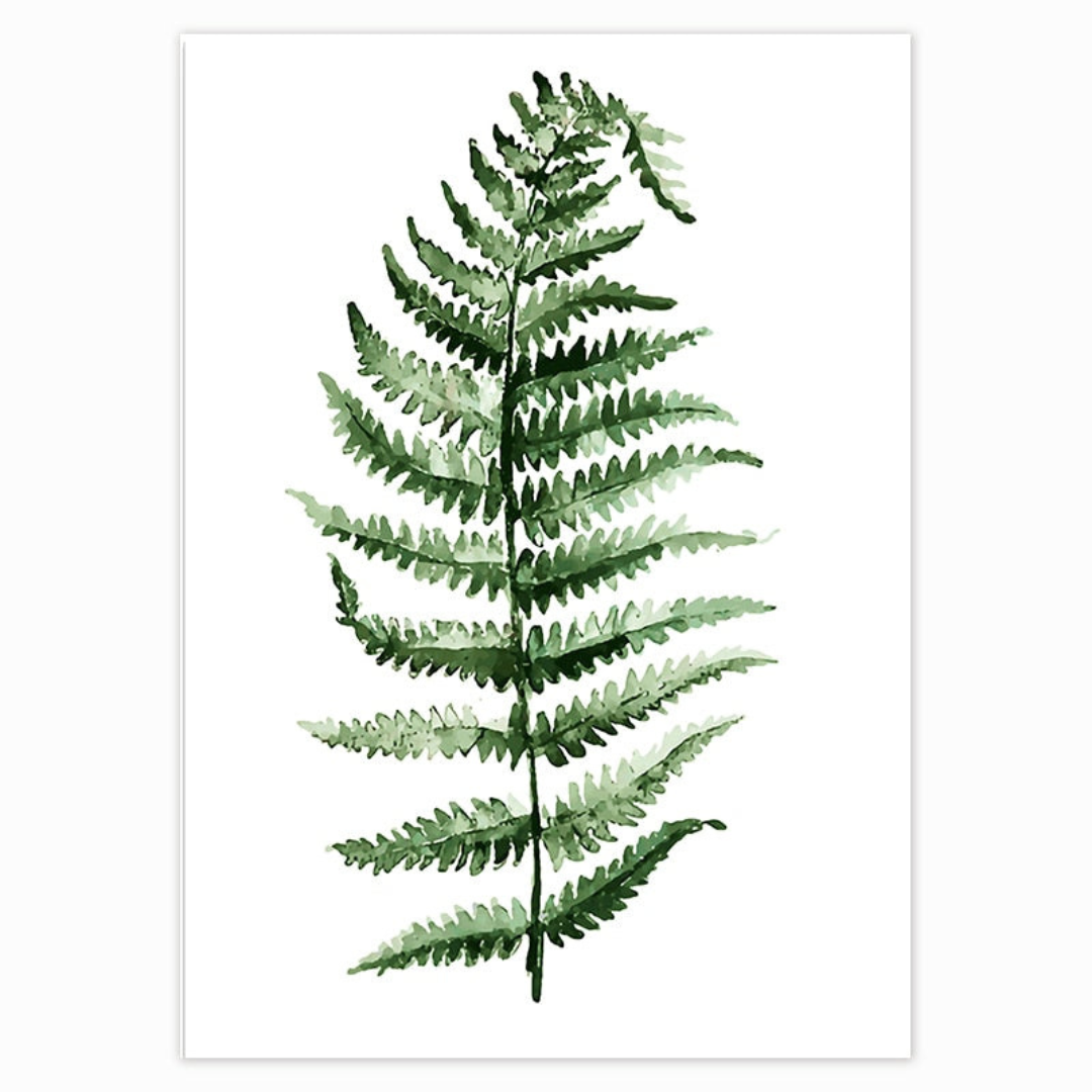 Fern Filler | Frame Series