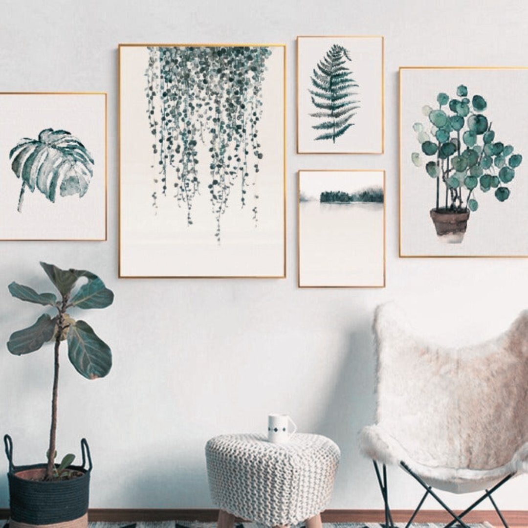 Foliage Fillers | Pilea