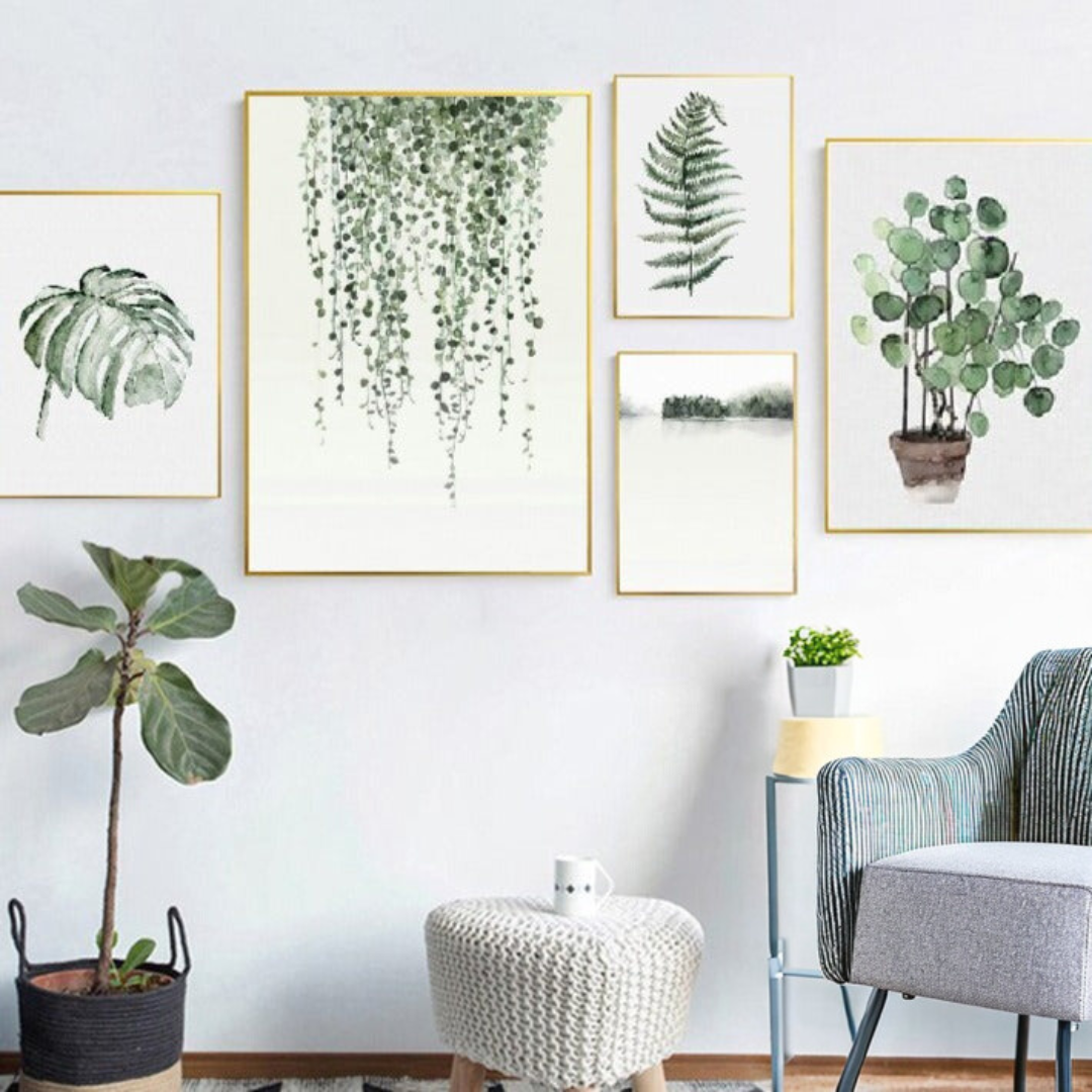 Foliage Fillers | Pilea